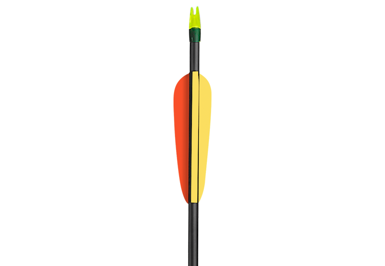 CARBON ARROW